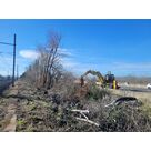 Abattage &agrave; Valence pour Vinci Autoroutes : s&eacute;curisation des voies