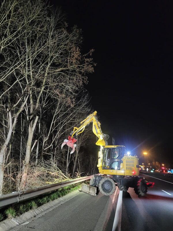 D&eacute;montage d'arbres pour garantir la s&eacute;curit&eacute; des usagers