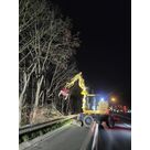 D&eacute;montage d'arbres pour garantir la s&eacute;curit&eacute; des usagers