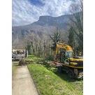 Entretien des digues de l'Is&egrave;re par b&ucirc;cheronnage