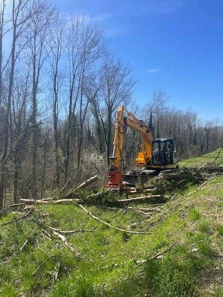 Travaux de b&ucirc;cheronnage sur les digues de l'Is&egrave;re