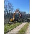 Travaux de b&ucirc;cheronnage sur les digues de l'Is&egrave;re