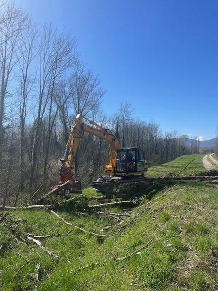 Travaux de b&ucirc;cheronnage sur les digues de l'Is&egrave;re