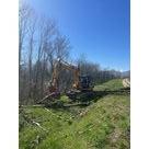 Travaux de b&ucirc;cheronnage sur les digues de l'Is&egrave;re