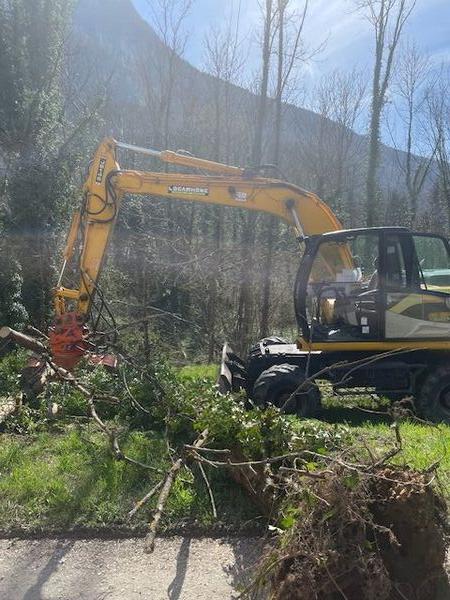 Entretien des digues de l'Is&egrave;re par b&ucirc;cheronnage