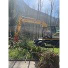 Entretien des digues de l'Is&egrave;re par b&ucirc;cheronnage