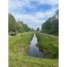 Gestion de la v&eacute;g&eacute;tation par intervention de fauchage