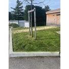 Tonte de pelouse Voiron