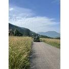 Fauchage bordure de champs