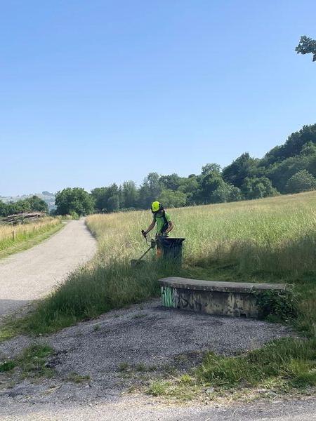 D&eacute;broussaillage de terrain