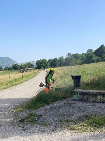 D&eacute;broussaillage bord de route