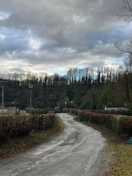 Taille m&eacute;canique des haies avec lamier et finition manuelle