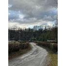 Taille m&eacute;canique des haies avec lamier et finition manuelle