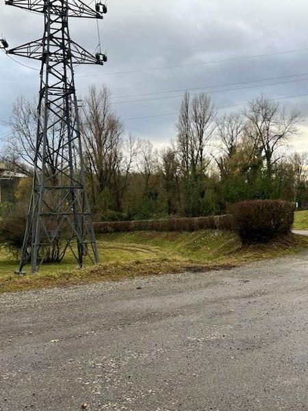 Taille m&eacute;canique des haies avec lamier et finition manuelle