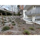 Installation de b&acirc;che et plantations vari&eacute;es