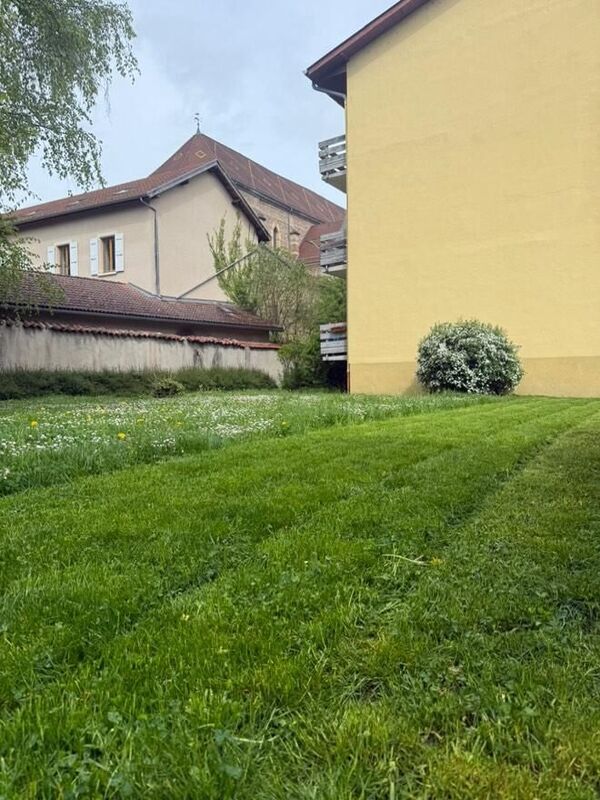 Tonte d'espaces verts