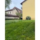 Tonte d'espaces verts