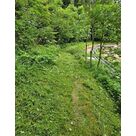 Avant d&eacute;broussaillage