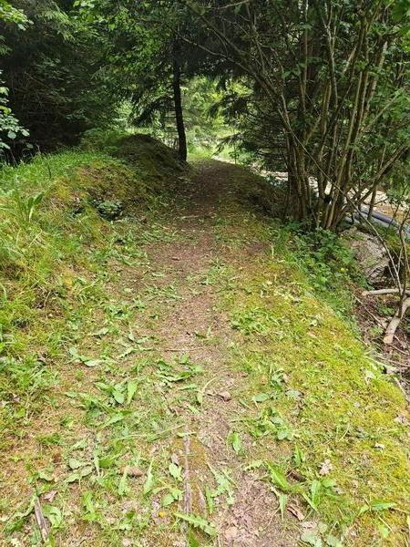 Apr&egrave;s d&eacute;broussaillage