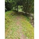 Apr&egrave;s d&eacute;broussaillage