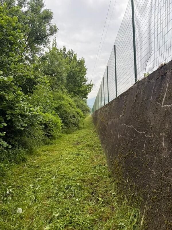 Apr&egrave;s d&eacute;broussaillage