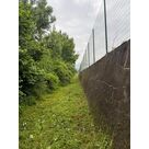 Apr&egrave;s d&eacute;broussaillage