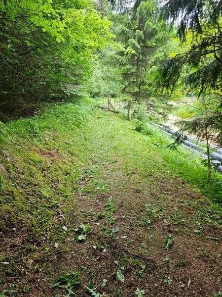 Chantier de d&eacute;broussaillage en cours