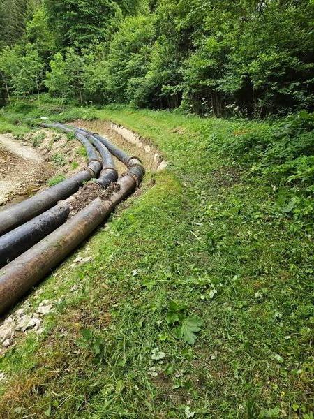 D&eacute;broussaillage EDF Engins