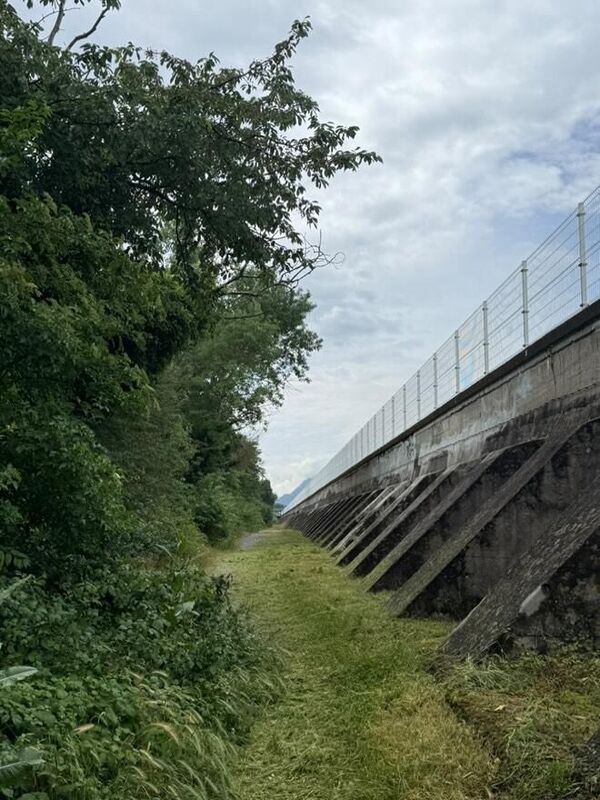 D&eacute;broussaillage EDF