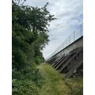 D&eacute;broussaillage EDF