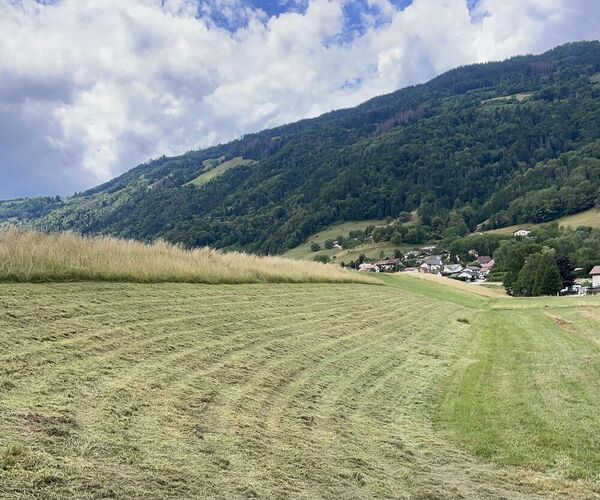 Fauchage EDF apr&egrave;s