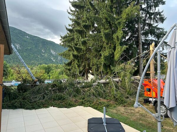 Photos avant l'&eacute;vacuation de l'&eacute;pic&eacute;a dans la cour du client.