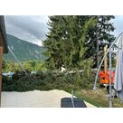 Photos avant l'&eacute;vacuation de l'&eacute;pic&eacute;a dans la cour du client.