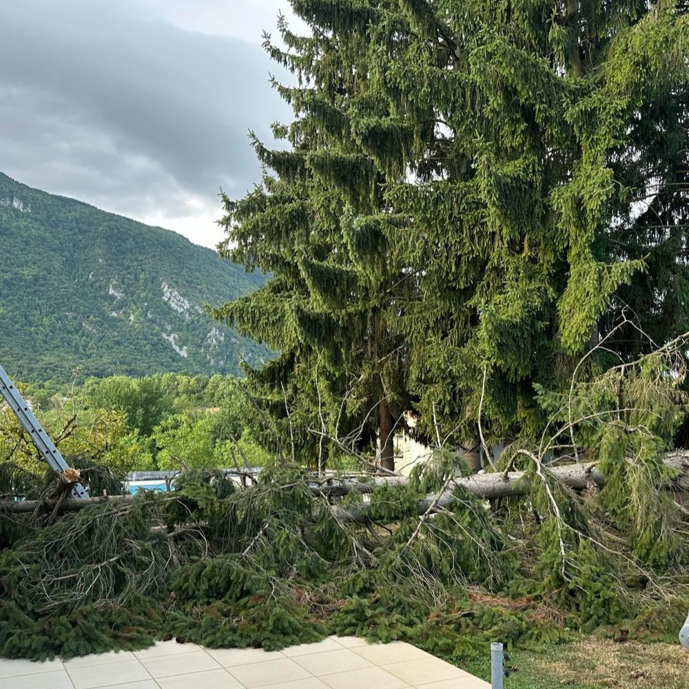 &Eacute;vacuation &eacute;pic&eacute;a