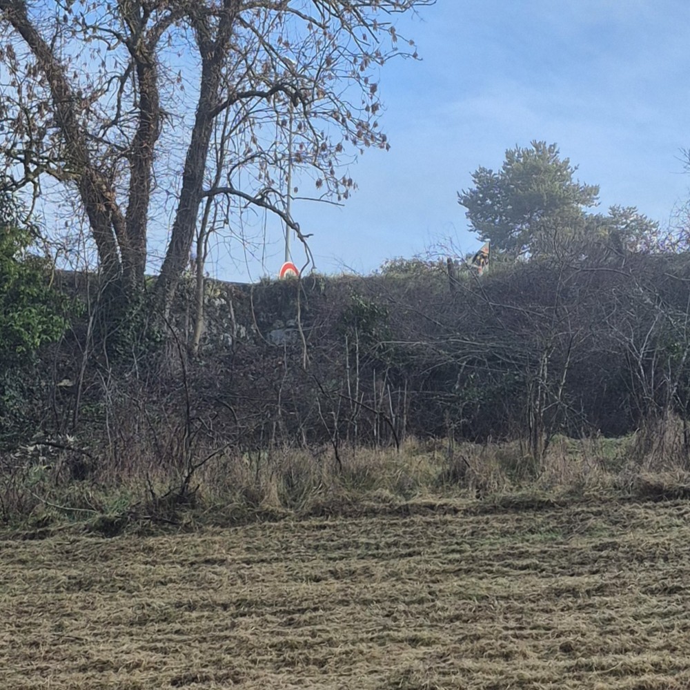 Nettoyage d'une parcelle &agrave; Vinay