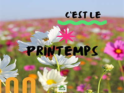 C'est le printemps!