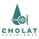 Cholat P&eacute;pini&egrave;res